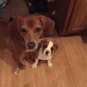 Meet your Posher, Angie