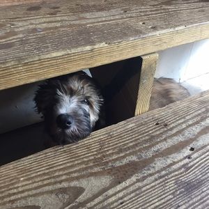 Meet your Posher, Bre