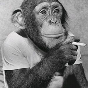 Meet your Posher, Bernadette