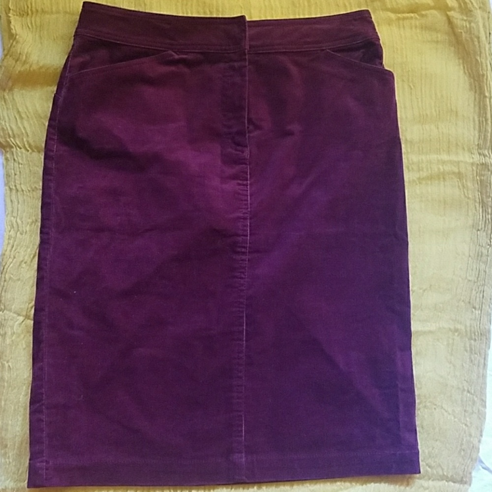 Jcrew corduroy skirt