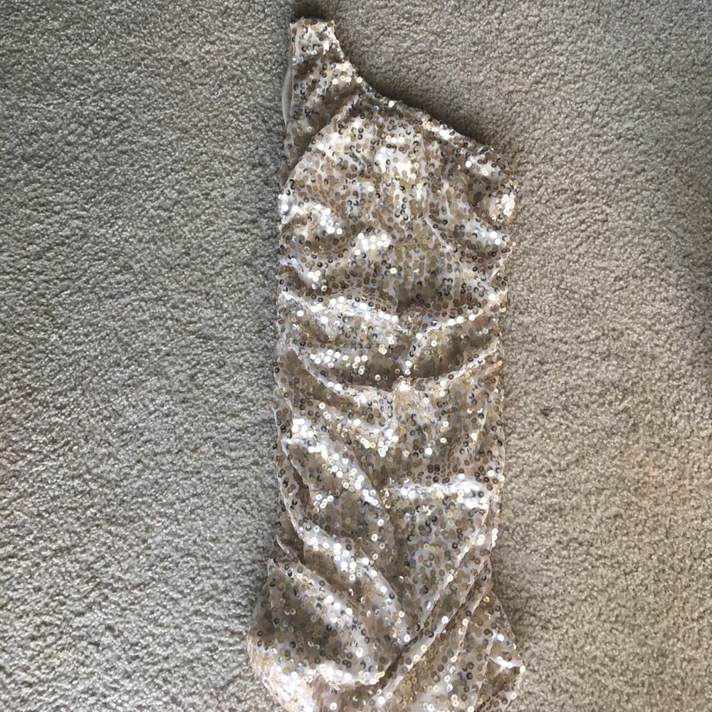 Gold and Silver Sequin Dress