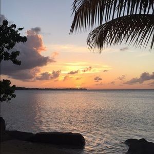 Meet your Posher, Alanis