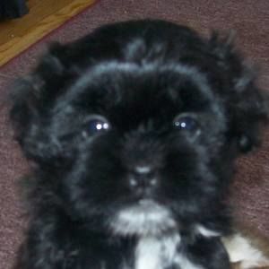 Meet your Posher, Cheryl