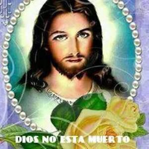 Meet your Posher, Darlene