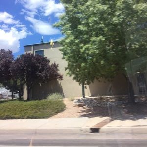 Meet your Posher, Lilly