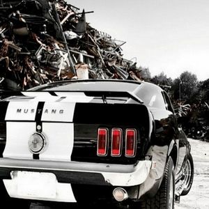 Meet your Posher, Robin