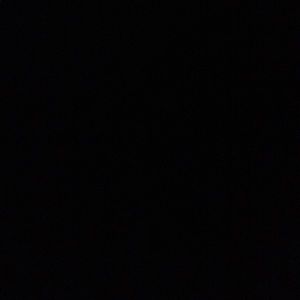 Meet your Posher, Evie