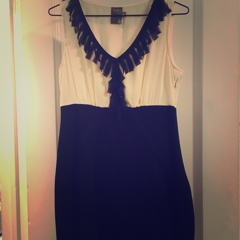 ⚡️SALE - Taylor b&w dress w/ feathered fringe