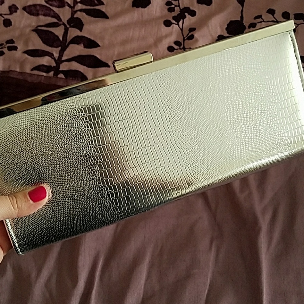 Silver Clutch