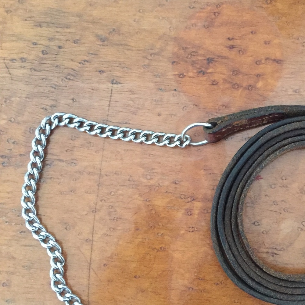 Champion Turf Lead Chain