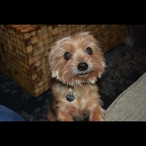 Meet your Posher, Ale