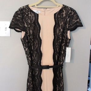 Black Lace and Blush Sheath Dress