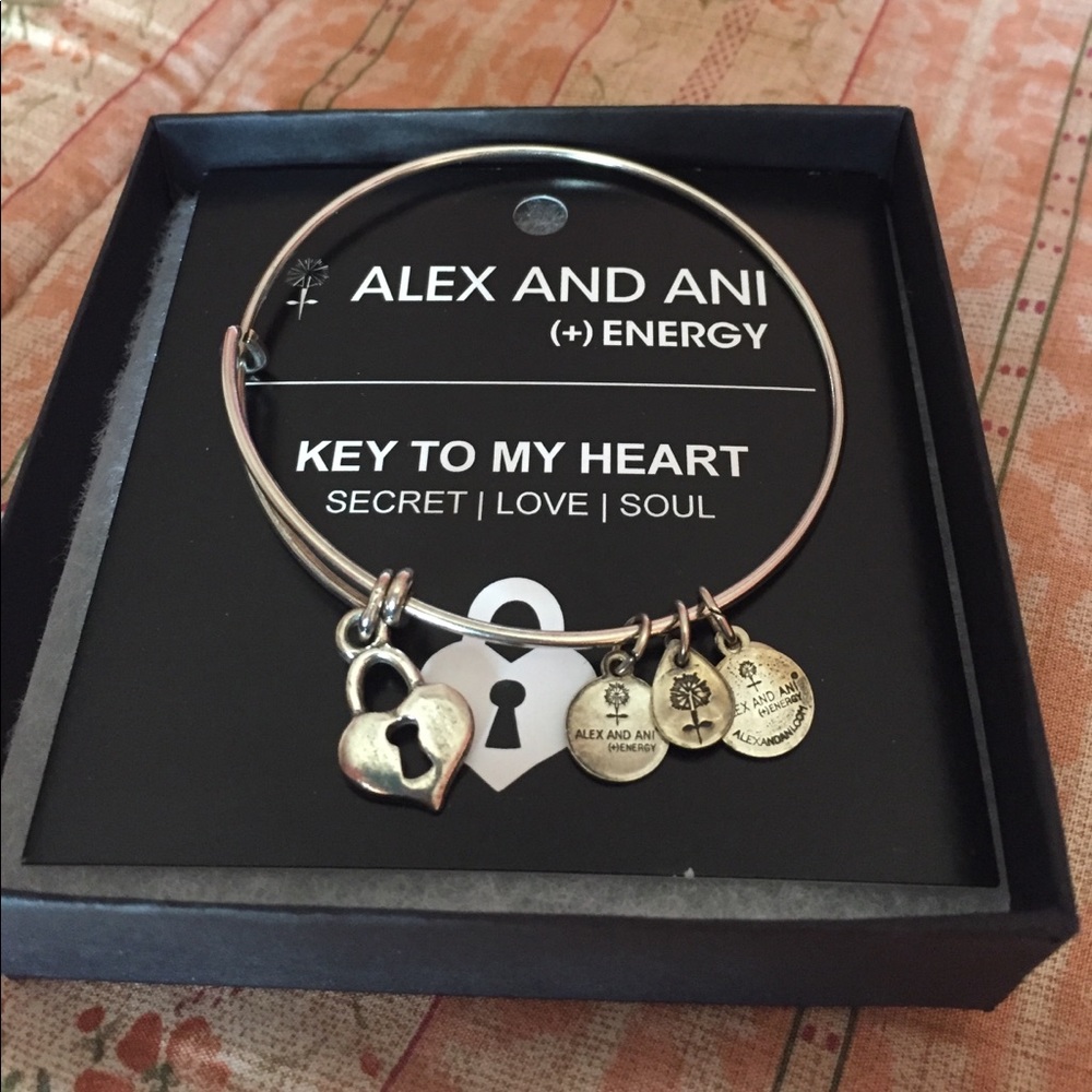 ❤️🔑Alex and Ani bracelet