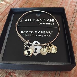 ❤️🔑Alex and Ani bracelet