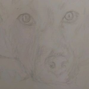 Meet your Posher, Connie