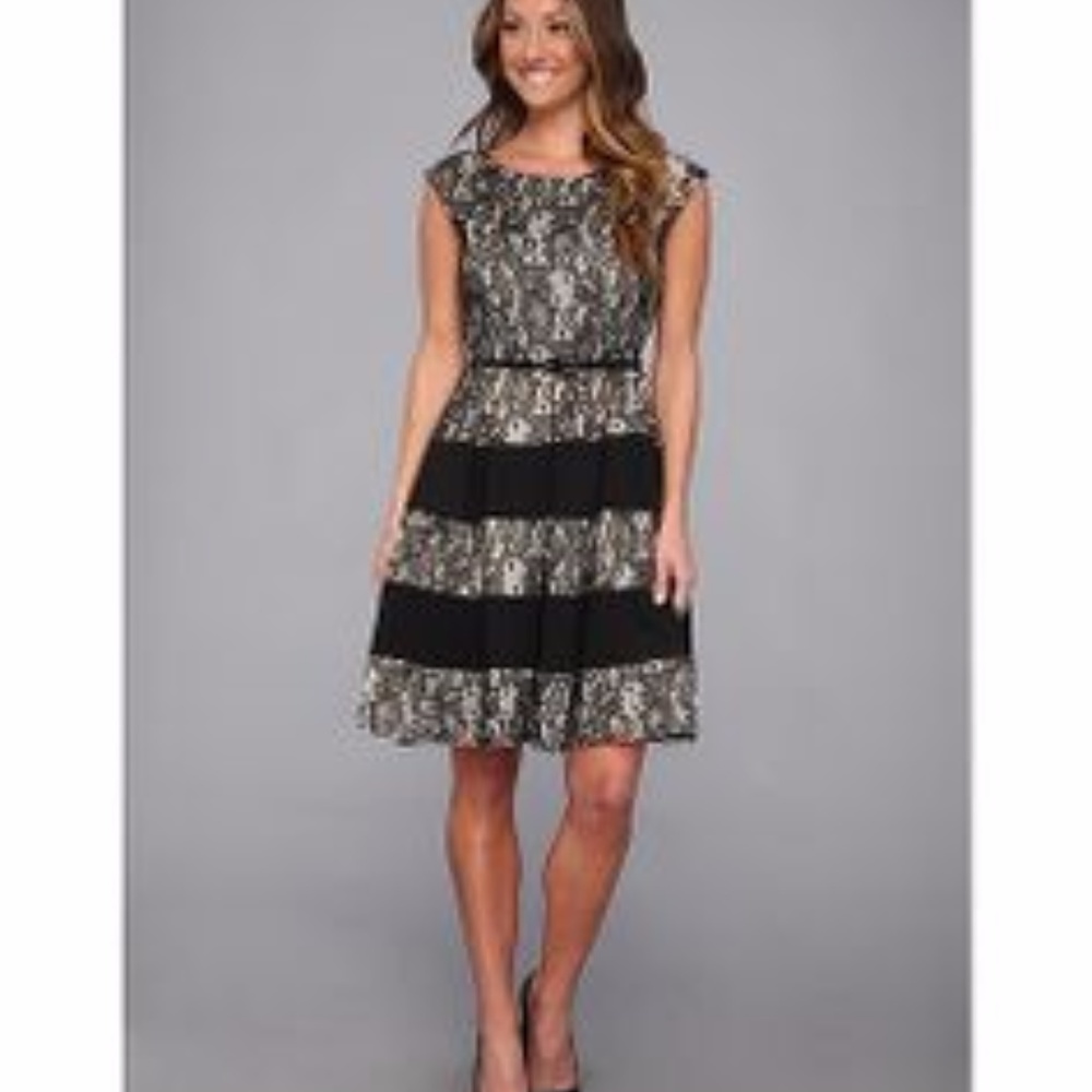 Fit and Flare Striped Skirt Lace Dress