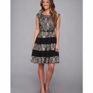 Fit and Flare Striped Skirt Lace Dress