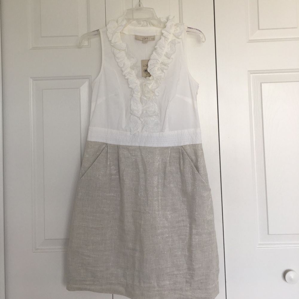 Loft Dress Size 6P NWT