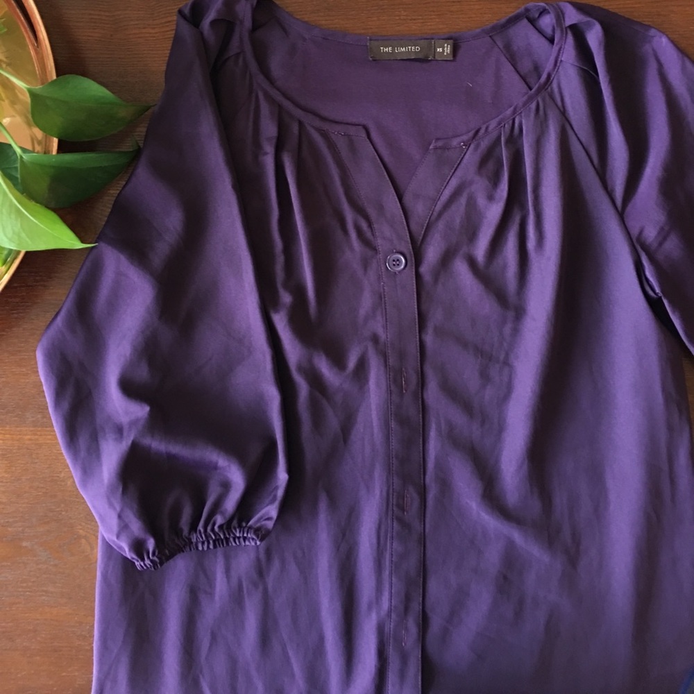 The Limited Purple button up dress