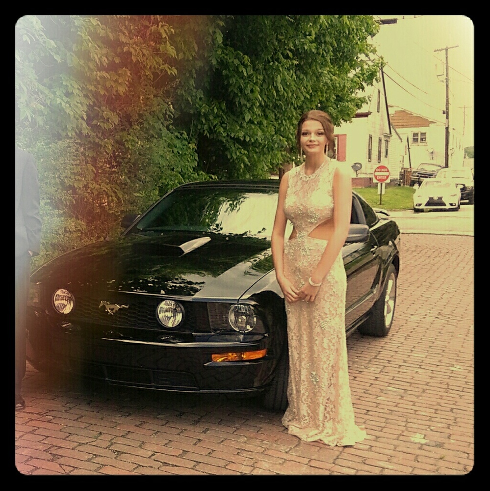 Prom/pagent dress