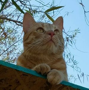 Meet your Posher, Griselda