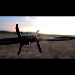 Meet your Posher, Libby