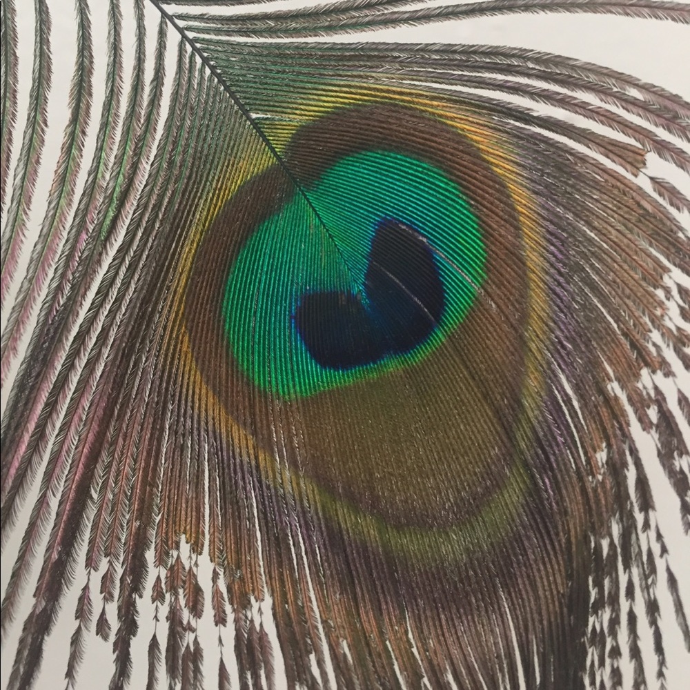 Meet your Posher, Caitlin