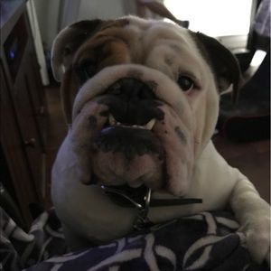 Meet your Posher, Grace