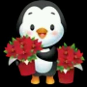 Meet your Posher, Eileen