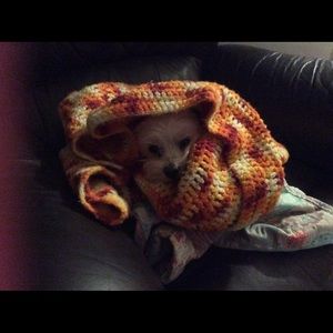 Meet your Posher, Becky