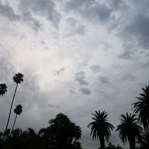 Meet your Posher, Martha