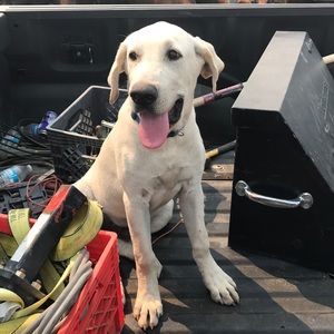 Meet your Posher, Camille