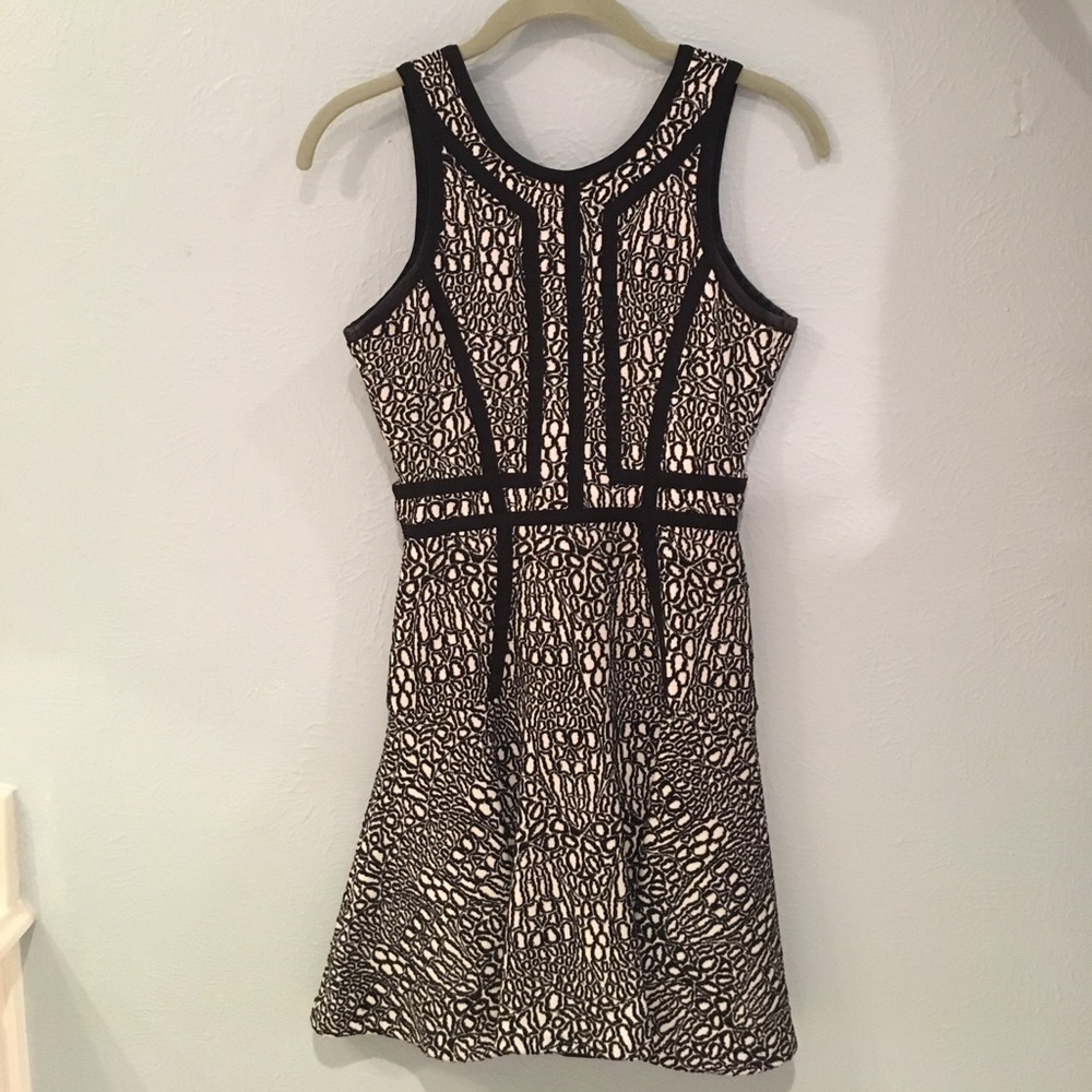 Parker Ripon Dress