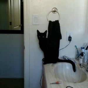 Meet your Posher, Nancy