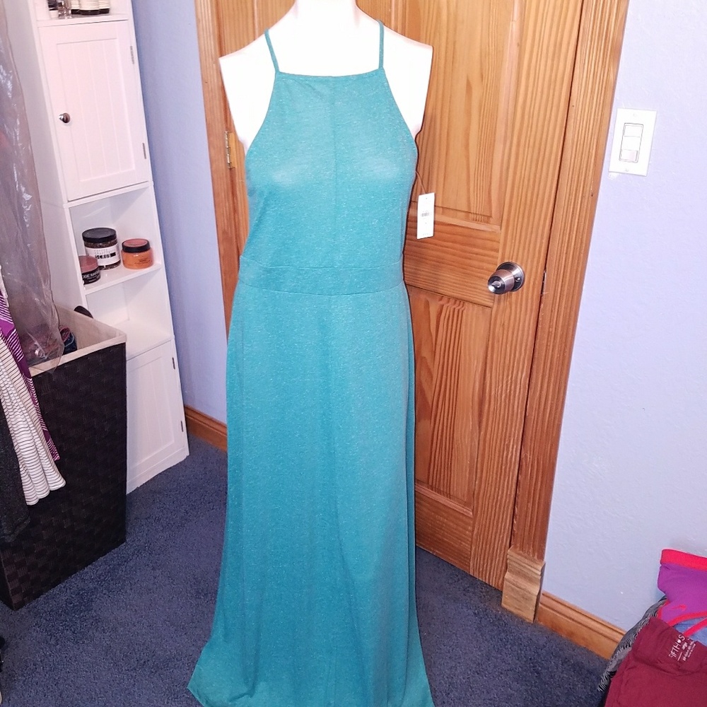 NWT Loft Maxi Dress