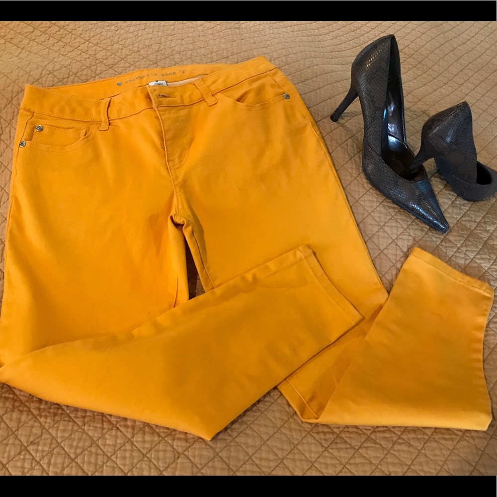 Beautiful Mustard Jeggings