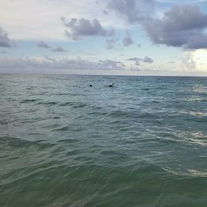 Meet your Posher, Mari