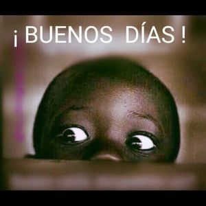 Meet your Posher, Elisa