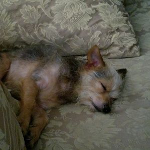 Meet your Posher, James