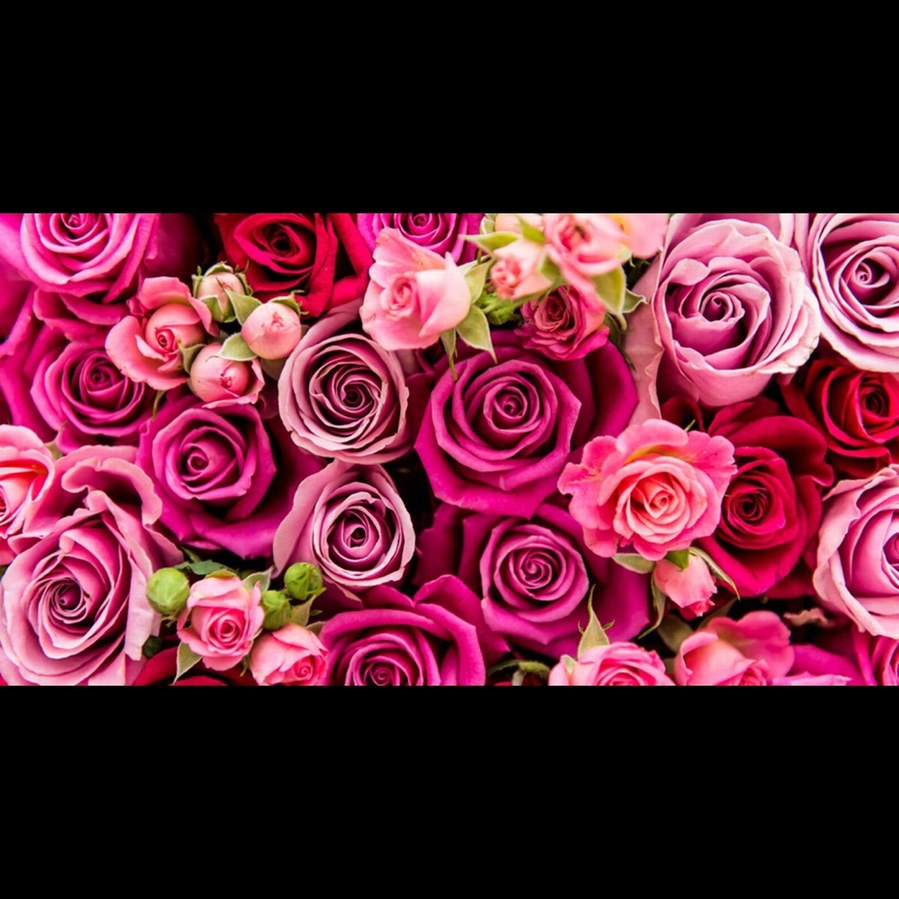 Meet your Posher, Leah