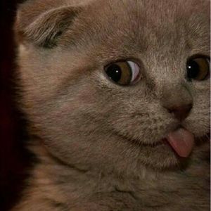 Meet your Posher, Abel