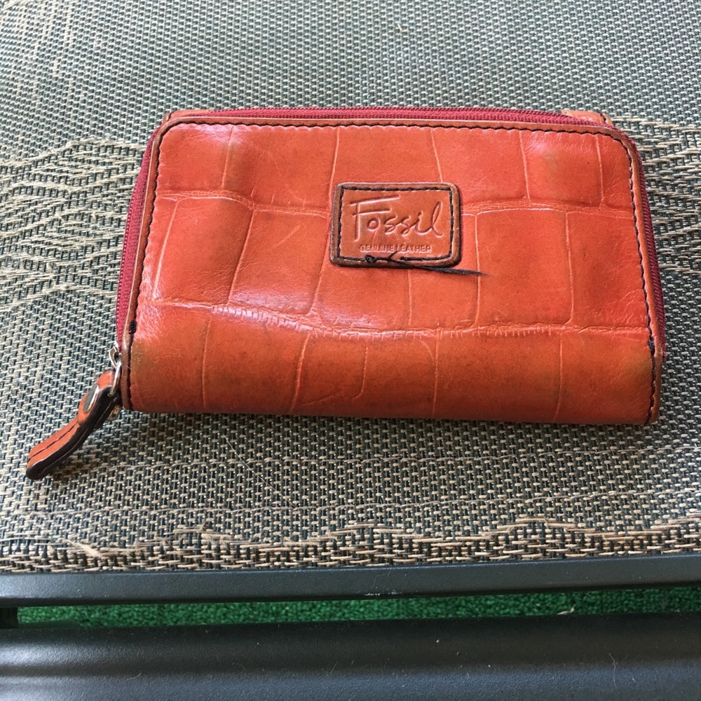 Amazing little fossil wallet