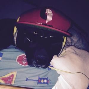 Meet your Posher, Matthew