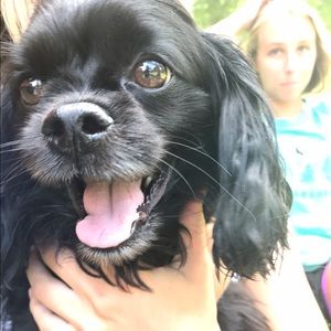 Meet your Posher, Meg