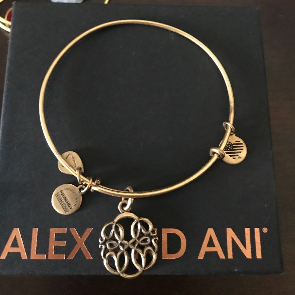 Path of Life Alex and Ani