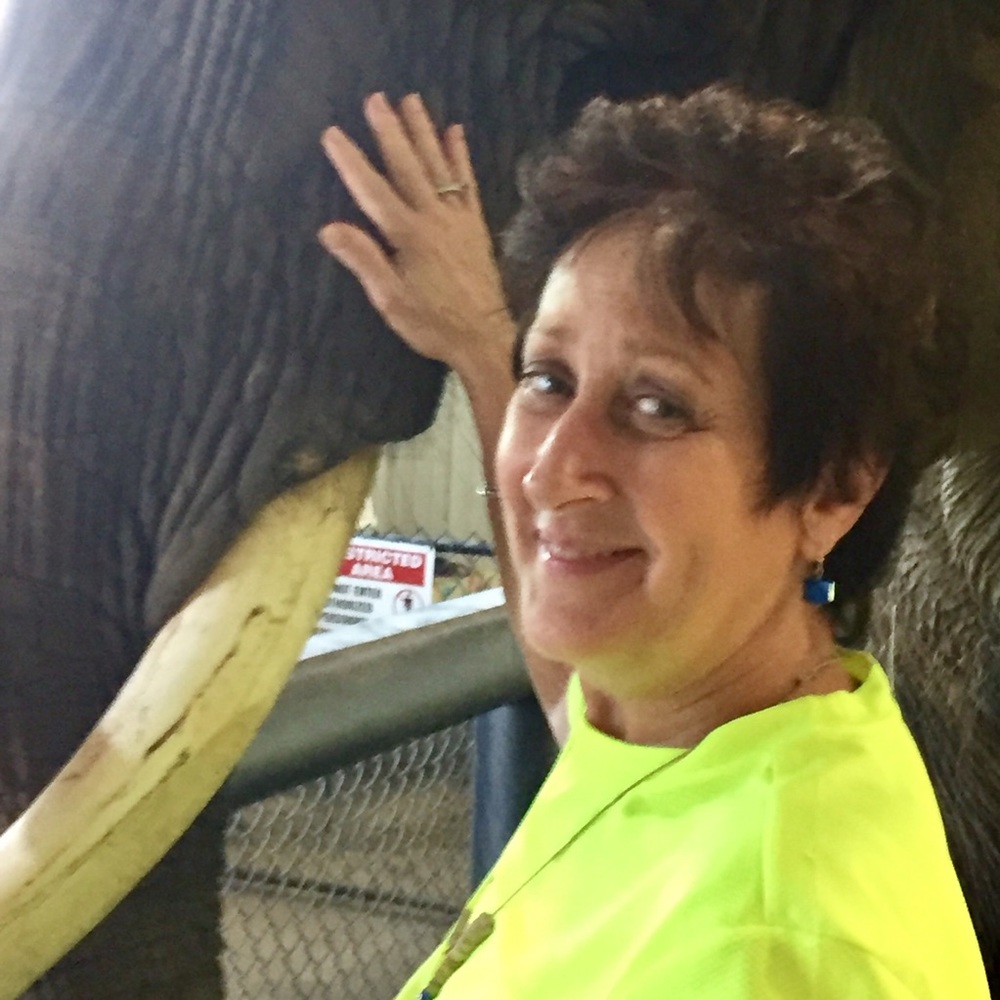Meet your Posher, Linda