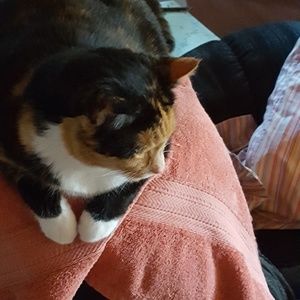 Meet your Posher, Donna