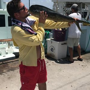 Meet your Posher, Spencer