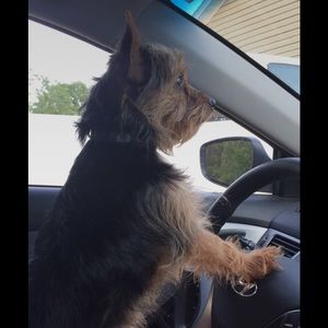 Meet your Posher, Danette