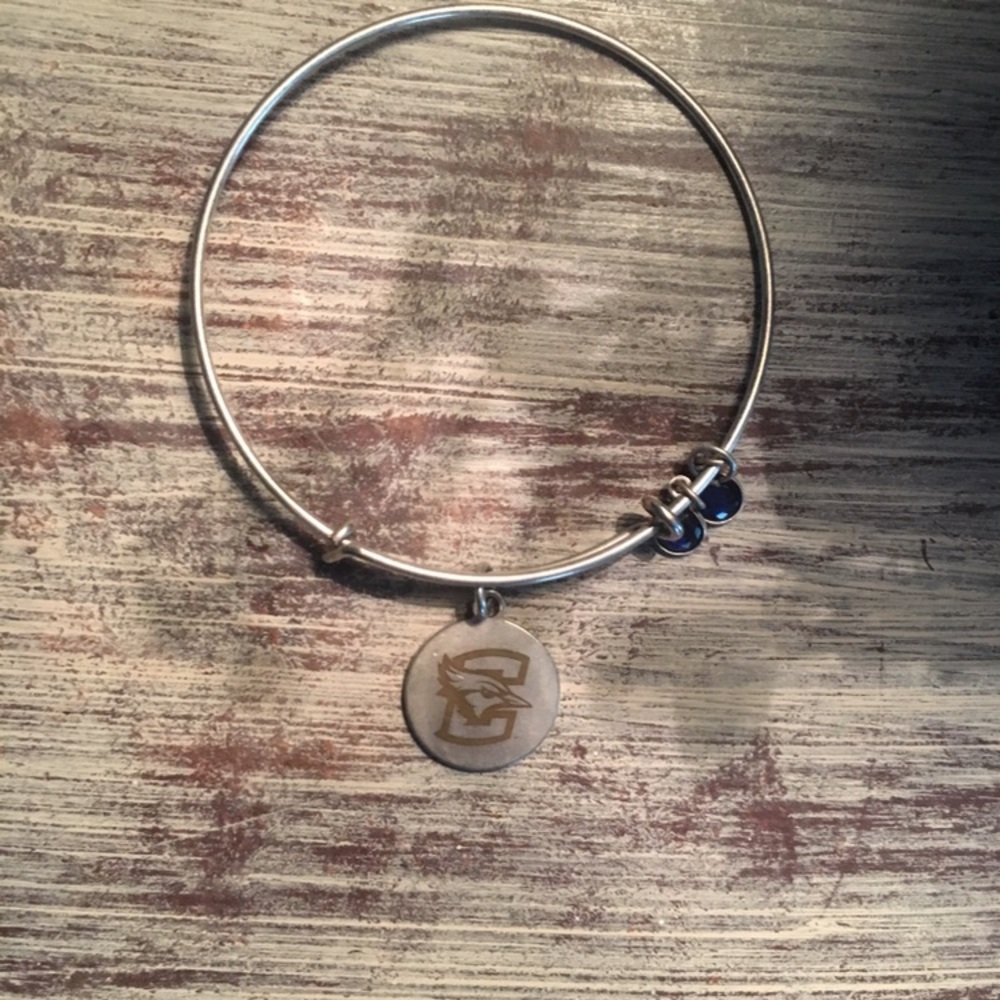 Alex and Ani inspired bangle